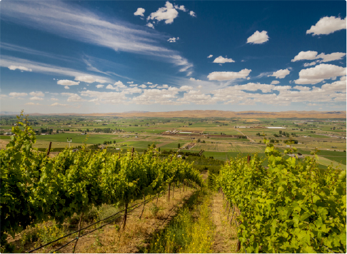 Yakima County Landscape