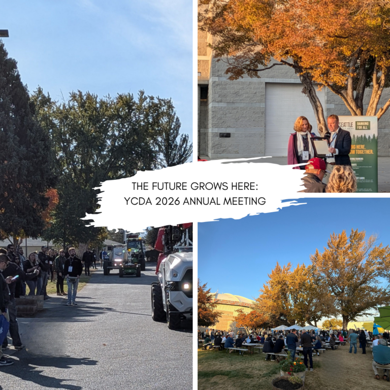 photo collage of YCDA 2026 Annual meeting outdoor event